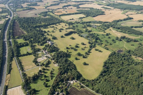 Hatch Park, Kent, 2016.