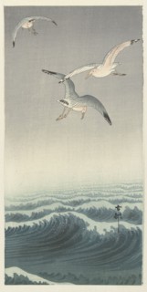 Three gulls. Private Collection.