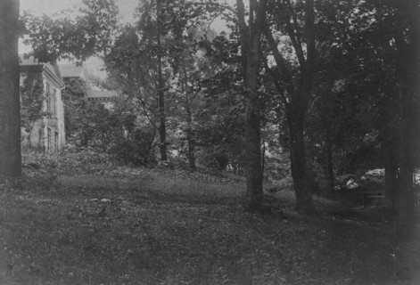 Zoo, c1895. Creator: Frances Benjamin Johnston.