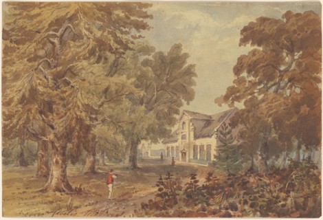 Cloetis, c. 1855.