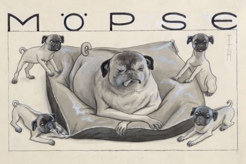 Pugs. Private Collection.