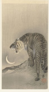 Roaring tiger. Private Collection.