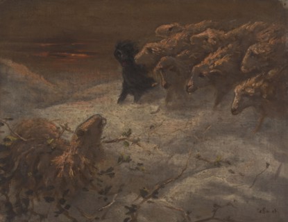 Sheep.