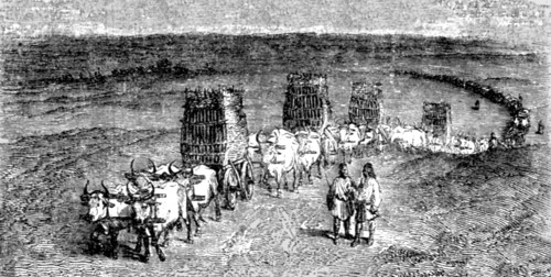'Moldavian Transport Wagons', 1854 Creator: Unknown.