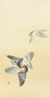 Two fighting birds. Private Collection.