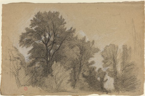 Edge of a Wood, c. 1840.