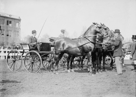 Horse Shows. Judging Team, 1911.