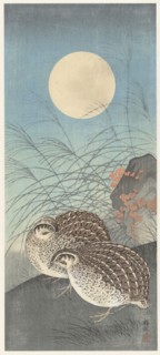 Two quail at full moon. Private Collection.