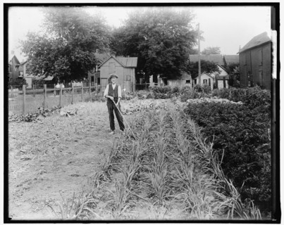 War Garden, between 1910 and 1920.