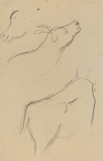 Studies of a Cow [verso], 1884-1888.