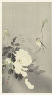 Bird and peony, 1920-1930. Private Collection.