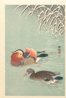 Mandarin ducks, 1925-1936. Private Collection.