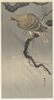 Eagle on branch, 1900-1910. Private Collection.