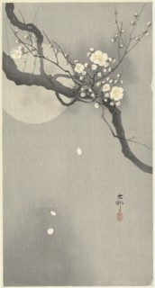 Plum blossom and full moon. Private Collection.