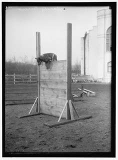 Society Circus, between 1909 and 1923.
