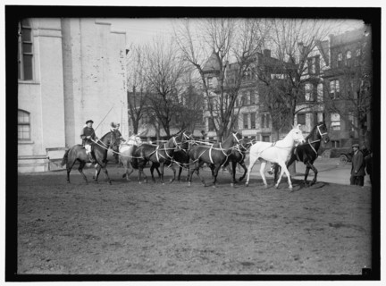 Society Circus, between 1910 and 1917.