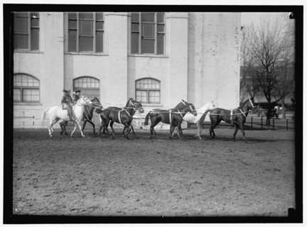 Society Circus, between 1910 and 1917.