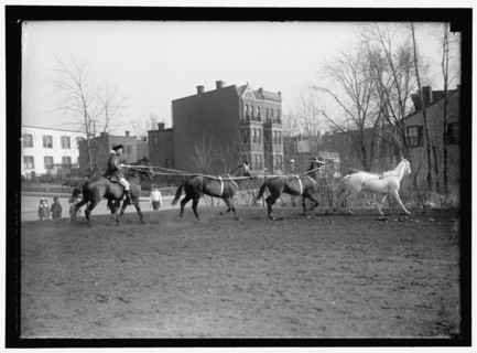 Society Circus, between 1910 and 1917.