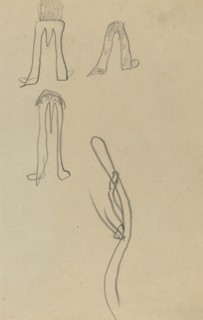 Four Fantastic Forms [recto], 1884-1888.