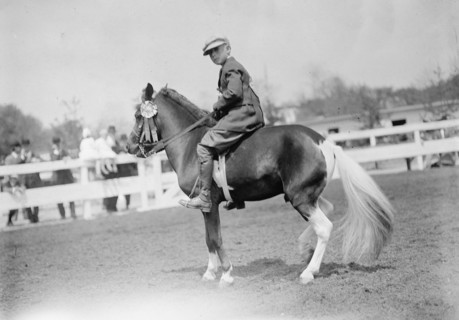 Horse Shows - Children And Ponies, 1911.