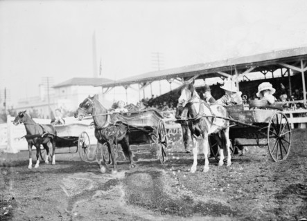 Horse Shows - Children And Ponies, 1912.