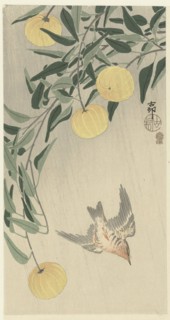 Cuckoo in the rain, 1900-1910. Private Collection.