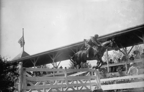 Horse Shows - Unidentified Entrant, 1912.