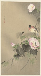 Bird and caterpillar, 1920-1930. Private Collection.