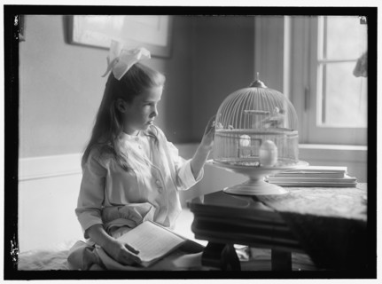 Child with birdcage, between 1910 and 1917.