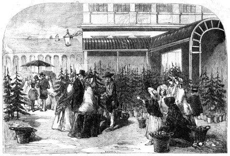 Christmas Trees in Covent Garden Market, 1854. Creator: Edmund Evans.
