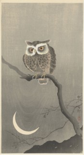 Long-eared owl on bare tree branch. Private Collection.