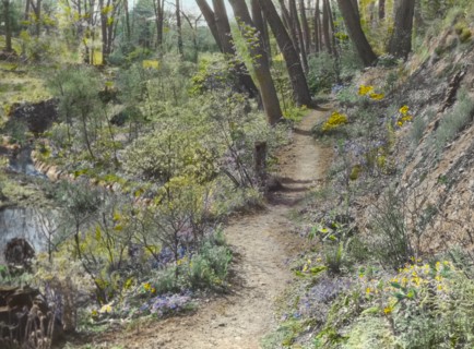 Unidentified garden or park, c1920.