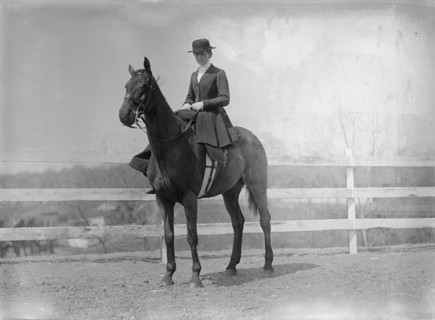Horse Shows. Miss Harriet T. Wadsworth, 1911.