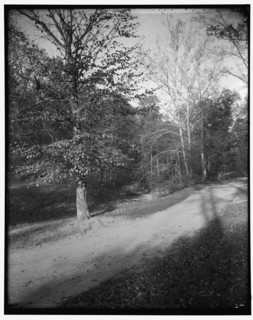 Rock Creek Park scenes, between 1910 and 1920. Creator: Harris & Ewing.