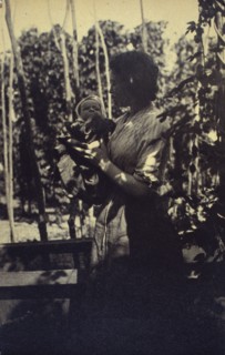 Woman holding an infant outdoors, between 1920 and 1940.