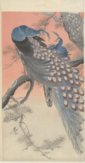 Two Peacocks on a Tree Branch, 1900-1910. Private Collection.