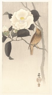 Songbird and blooming camellia, 1900-1910. Private Collection.