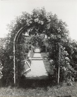 Unidentified garden, between 1910 and 1935.