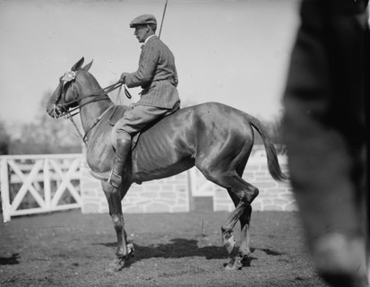 Horse Shows - Unidentified Men, Mtd. Or Hurdling, 1911.