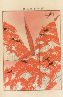 From the Series Yachigusa, 1902-1903. Private Collection.
