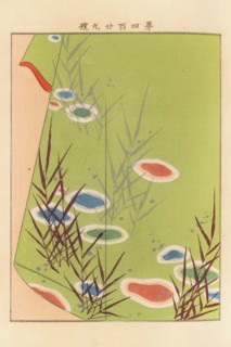 From the Series Yachigusa, 1902-1903. Private Collection.