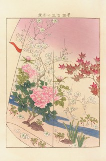 From the Series Yachigusa, 1902-1903. Private Collection.