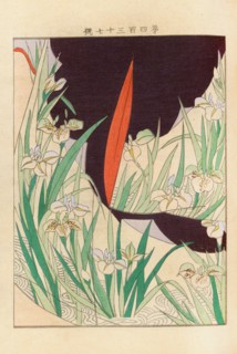 From the Series Yachigusa, 1902-1903. Private Collection.