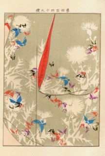 From the Series Yachigusa, 1902-1903. Private Collection.