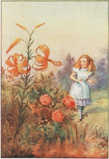 We can talk, said the Tiger Lily , 1911. Private Collection.