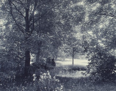Landscape of trees and meadow with irises in foreground, c1900.