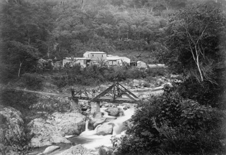 Puerto Rico Roads, Bridges, And Road Construction, 1912. Creator: Harris & Ewing.