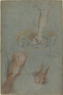 Studies for a Servant in "The Last Supper", c. 1590/1599.