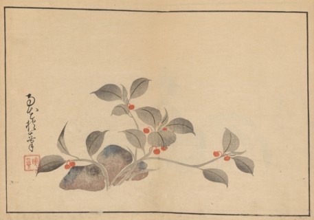 Sakai Hoitsu gajo (Sakai Hoitsu painting album). Private Collection.