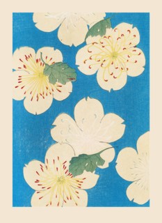 Illustration from "Shin bijutsukai", 1901-1902. Creators: Sekka, Kamisaka (1866-1942), Korin, Furuya (1875-1910)